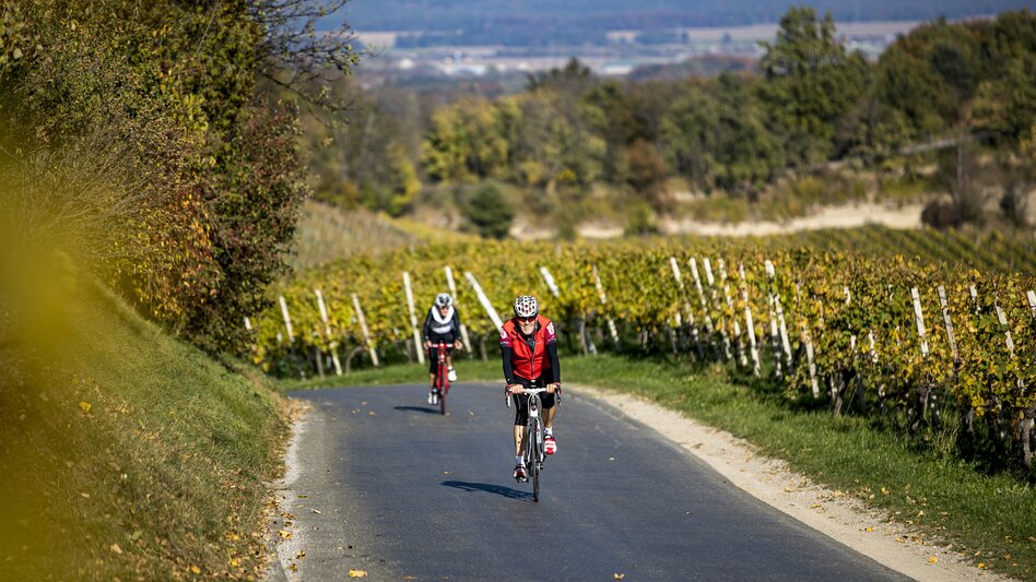 Cycling in the Styrian Wine Country | © Steiermark Tourismus | Tom Lamm