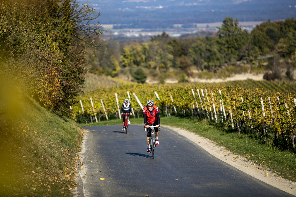 Cycling in the Styrian Wine Country | © Steiermark Tourismus | Tom Lamm