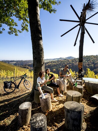 Cycling at the Styrian Wine Country Cycling Tour | © Steiermark Tourismus | Tom Lamm