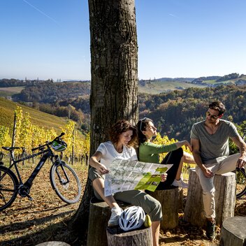 Weinland Steiermark Radtour bei Sernauberg | © STG | Tom Lamm
