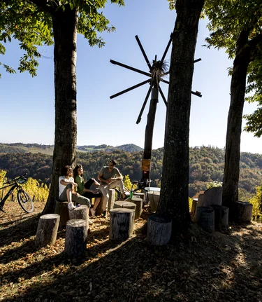 Cycling at the Styrian Wine Country Cycling Tour | © Steiermark Tourismus | Tom Lamm