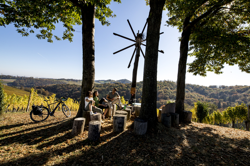 Cycling at the Styrian Wine Country Cycling Tour | © Steiermark Tourismus | Tom Lamm