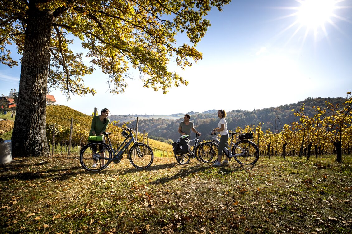 Radfahren im Weinland Steiermark | © STG | Tom Lamm