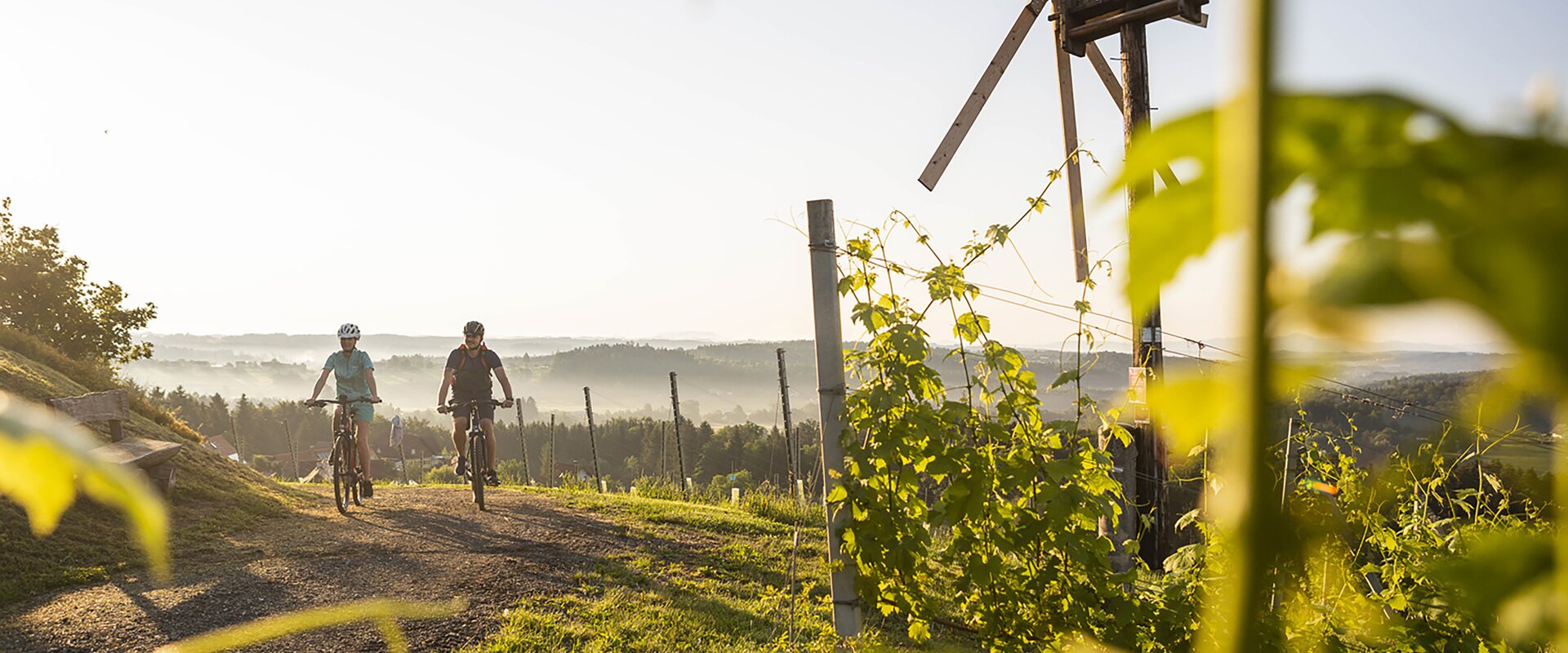 Radfahrer in den Weingärten Hochgrail bei St. Stefan ob Stainz | © Schilcherland Steiermark | Velontour