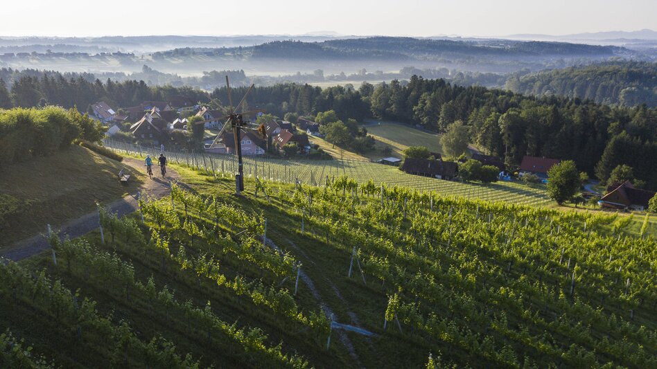 Vineyards Hochgrail near St. Stefan ob Stainz | © Schilcherland Steiermark | Velontour