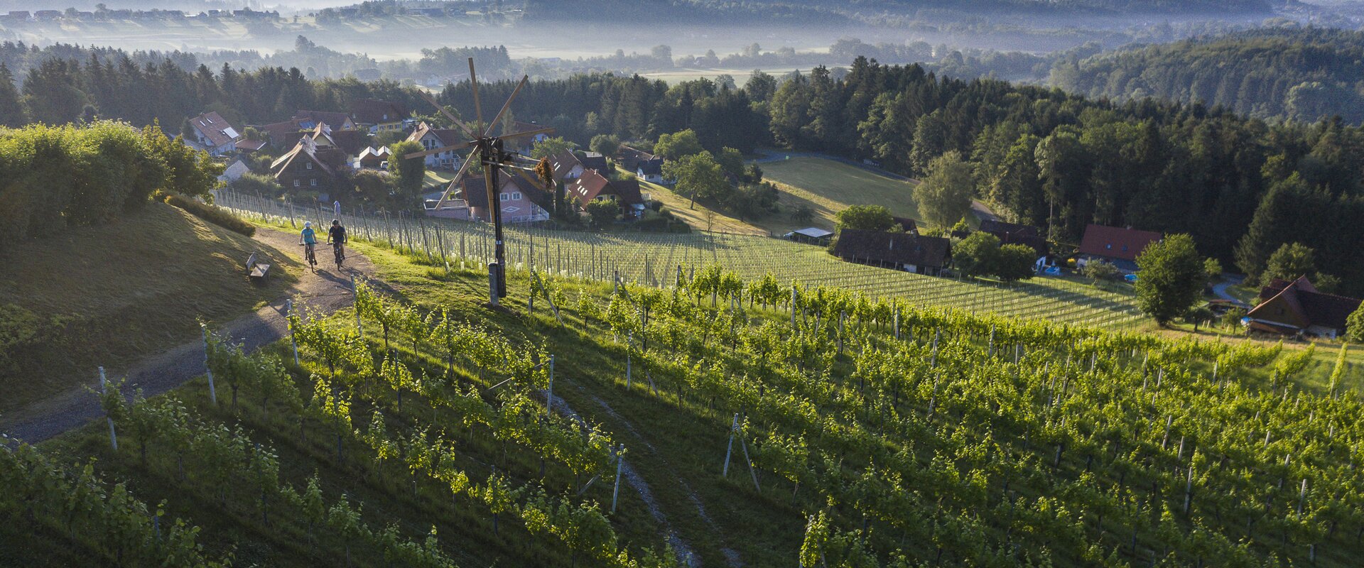 Vineyards Hochgrail near St. Stefan ob Stainz | © Schilcherland Steiermark | Velontour