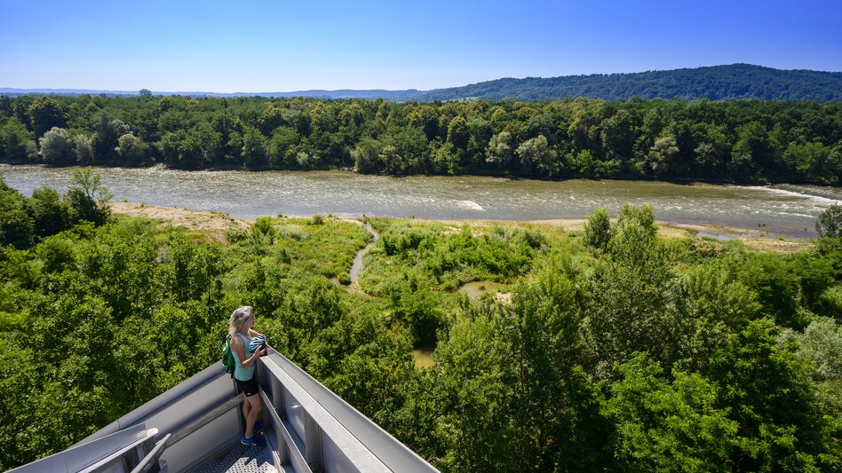 At the Mur cycling path: at the Murturm in Gosdorf near Mureck | © Steiermark Tourismus | pixelmaker.at