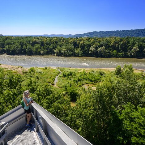 Blick vom Murturm auf die Mur im UNESCO Biosphärenpark | © STG | pixelmaker.at