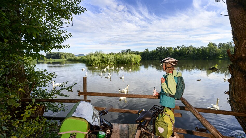 At the reservoir in Altgralla | © Steiermark Tourismus | pixelmaker.at