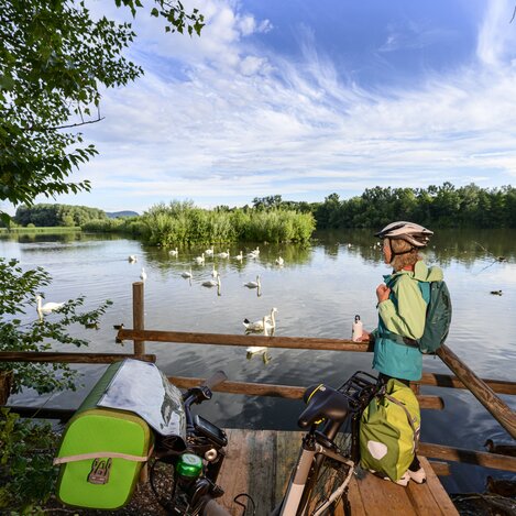At the reservoir in Altgralla | © Steiermark Tourismus | pixelmaker.at