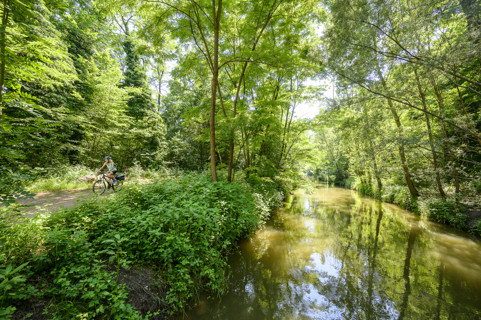 On the way through the UNESCO biosphere park | © Steiermark Tourismus | pixelmaker.at