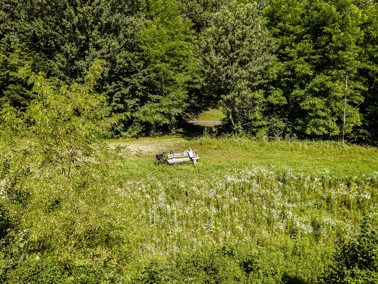 n the Mur meadows near Murt tower | © Steiermark Tourismus | pixelmaker.at