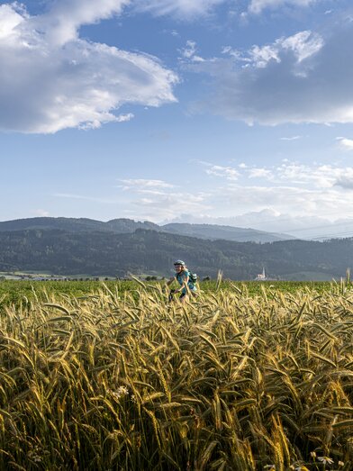 Cyclist near Fisching | © Steiermark Tourismus | pixelmaker.at
