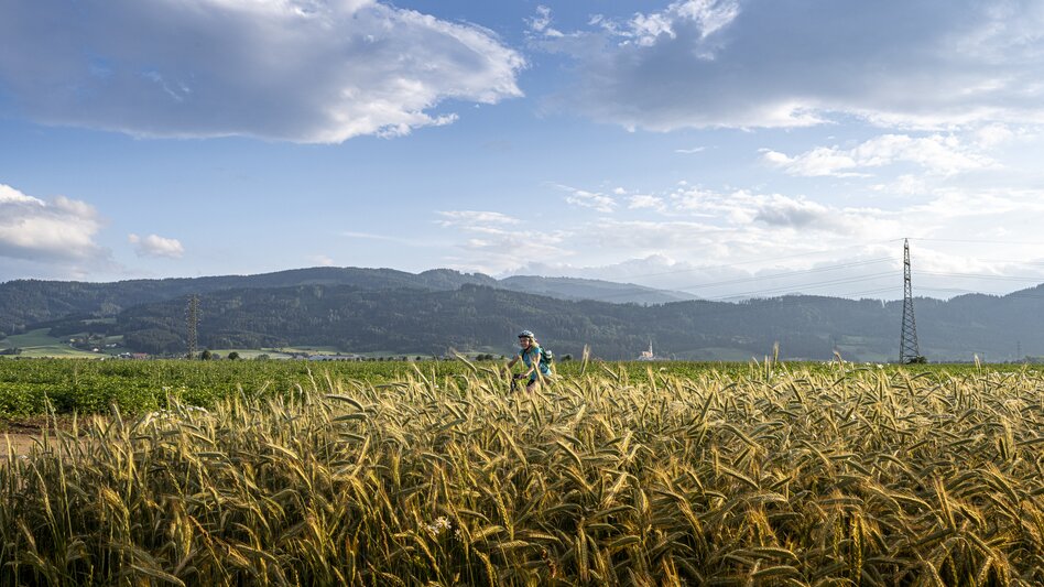 Cyclist near Fisching | © Steiermark Tourismus | pixelmaker.at