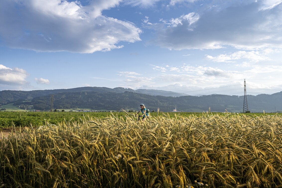 PackageMur Cycle Path in autumn - 