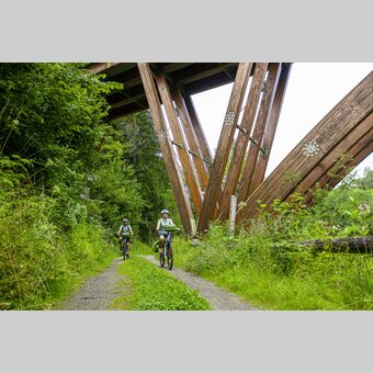 Bei der Holzeuropabrücke bei St. Georgen | © STG | pixelmaker.at