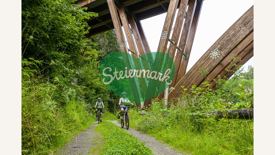 Bei der Holzeuropabrücke bei St. Georgen | © STG | pixelmaker.at