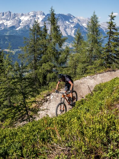 Reiteralm Trails | © Steiermark Tourismus | Gleichweit-Nistelberger