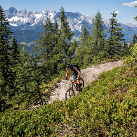 Reiteralm Trails | © STG | Gleichweit-Nistelberger