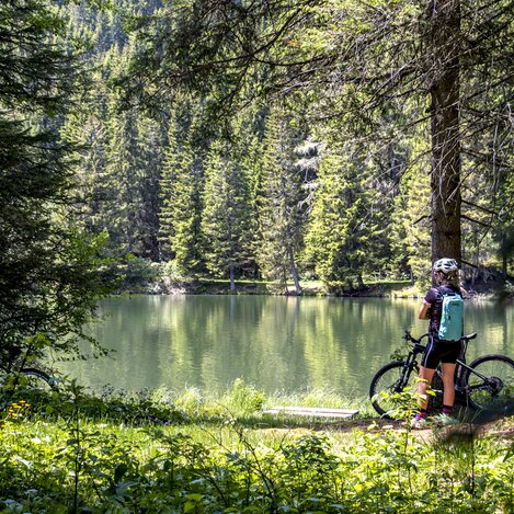 Im Naturpark Zirbitzkogel-Grebenzen | © STG | Gleichweit-Nistelberger