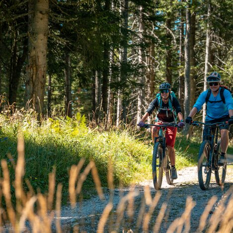 Gemütliche Mountainbiketour durchs Grüne Herz | © STG | Jesse Streibl