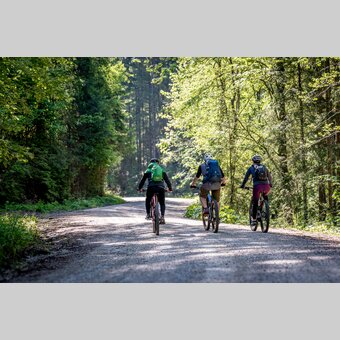 Gemütliches Ausrollen | © STG | Jesse Streibl