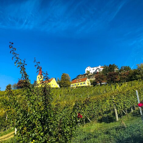 Blick auf Schloss Kapfenstein mit Weingut Winkler-Hermaden | © STG | Ute Hödl
