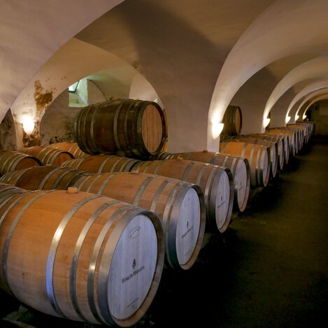 Weinkeller im Weingut Schloss Winkler-Hermaden in Kapfenstein | © STG | Manfred Polansky