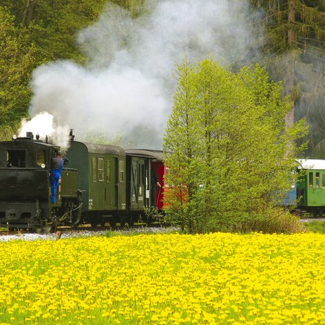 Stainzer Flascherlzug | © Tourismusverband Schilcherland Stainz-Reinischkogel