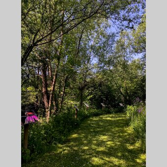Bienenlehrweg am Mürztalradweg | © STG | Klein
