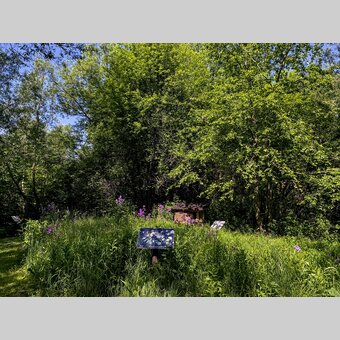 Bienenlehrweg am Mürztalradweg | © STG | Klein