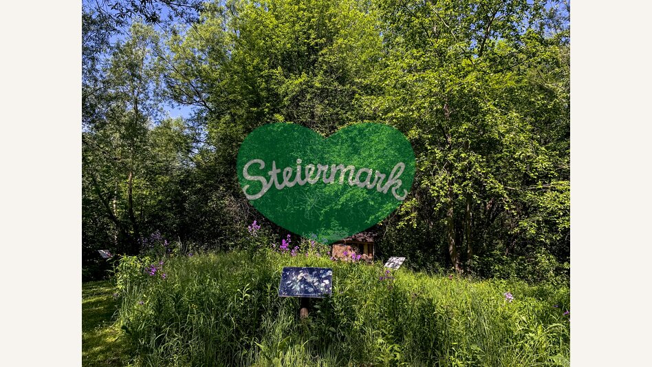 Bienenlehrweg am Mürztalradweg | © STG | Klein