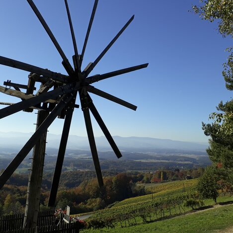 Der höchste Klapotetz in den Sausaler Weinbergen am Demmerkogel | © STG | Ute Hödl