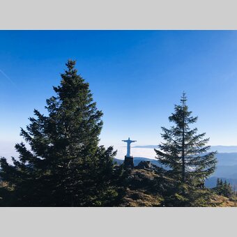 Auf der Gleinalm, nicht in Rio ;-) | © STG | Ute Hödl