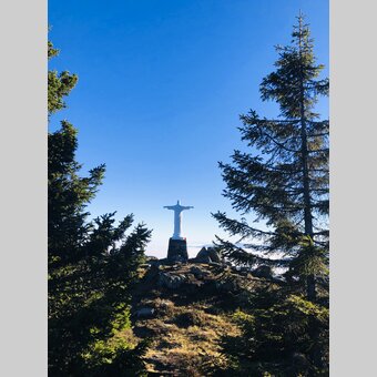 Auf der Gleinalm, nicht in Rio ;-) | © STG | Ute Hödl