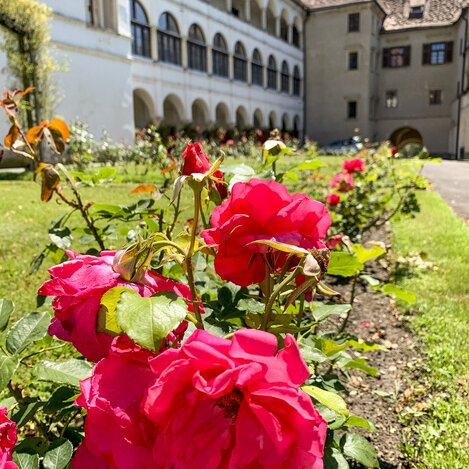 Seggau Castle | © Steiermark Tourismus | Sarah Valda