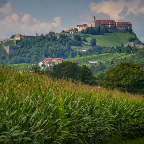 Riegersburg, urkundlich erstmals 1138 erwähnt | © STG | Manfred Polansky