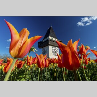 Frühling am Grazer Schlossberg | © STG | Harry Schiffer