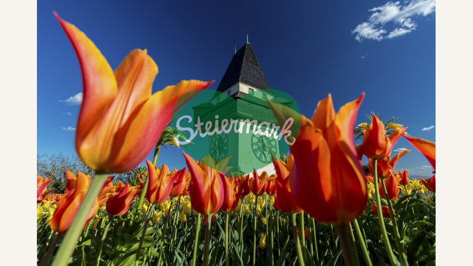 Frühling am Grazer Schlossberg | © STG | Harry Schiffer
