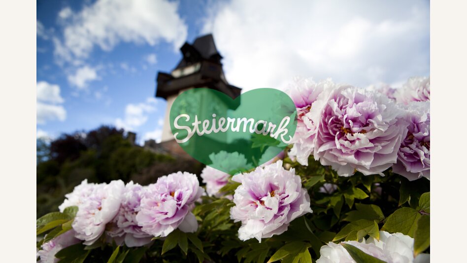 Grazer Uhrturm mit Pfingstrosen im Frühling | © STG | Stefanie Teutsch