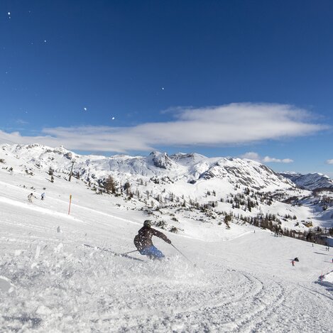Skifahren auf der Tauplitzalm | © STG | Tom Lamm