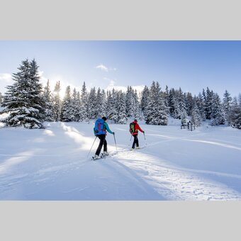 Skitour auf der Frauenalpe | © STG | Tom Lamm
