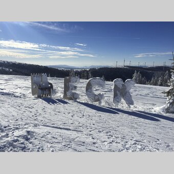 Ganzeben Abfahrt am Stuhleck | © Stuhleck | Stuhleck