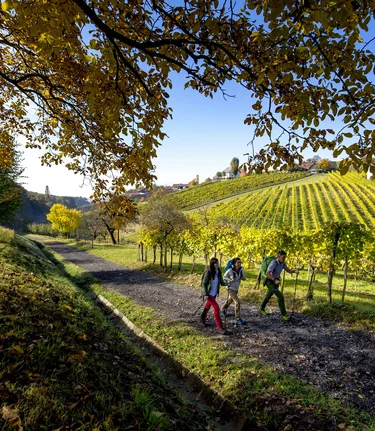 Hiking near Klöch | © Steiermark Tourismus | Tom Lamm