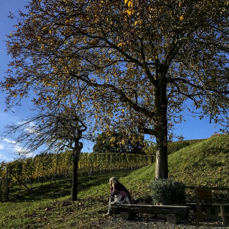 Beim alten Kellerstöckl in Klöch | © STG | Eva Pommer