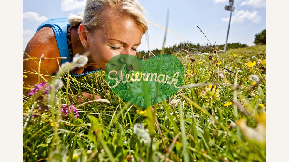 Blütenwelt am Hochschwab | © STG | Tom Lamm
