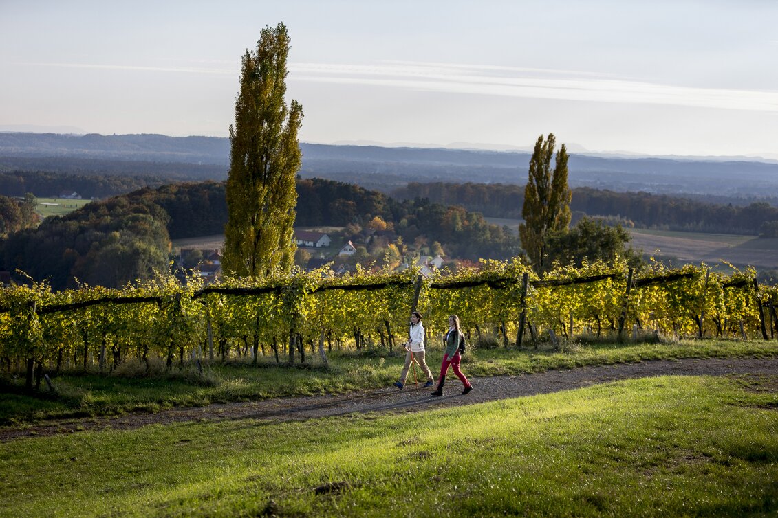 Wandern in Klöch | © STG | Tom Lamm