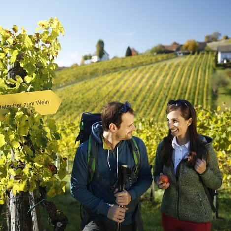 Wanderroute "Vom Gletscher zum Wein" | © STG | Herbert Raffalt