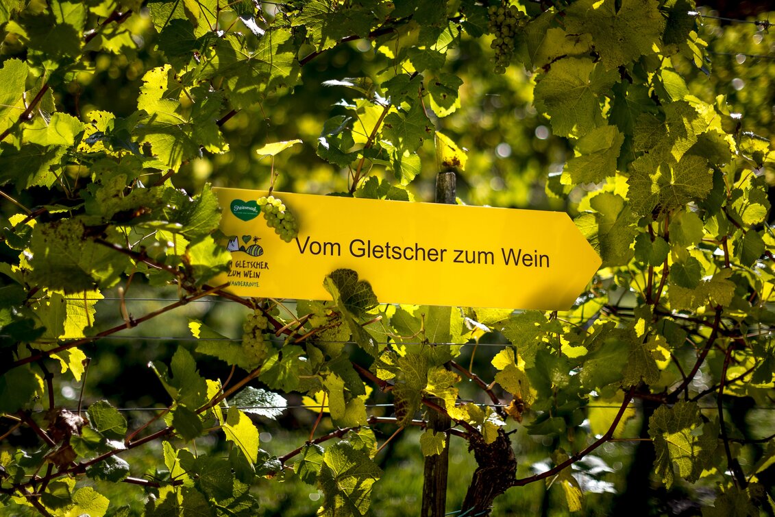 Wanderroute "Vom Gletscher zum Wein" | © STG | Tom Lamm
