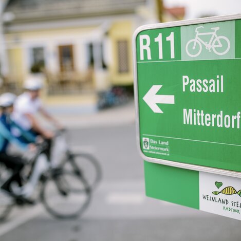 Weinland Steiermark Radtour in St. Ruprecht an der Raab | ©  Oststeiermark Tourismus | Die Mosbacher's
